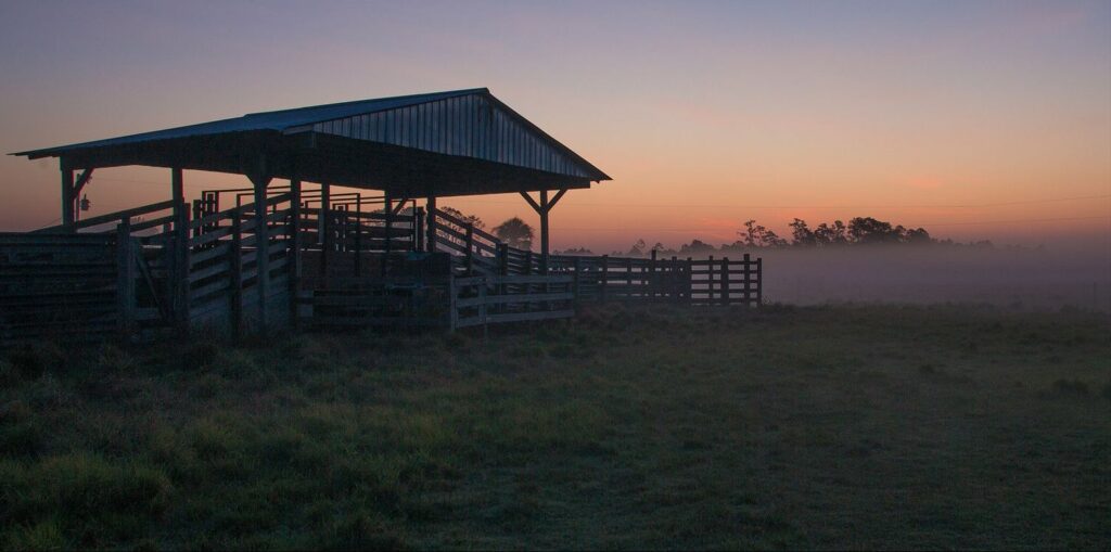 All Systems Go for Babcock Ranch