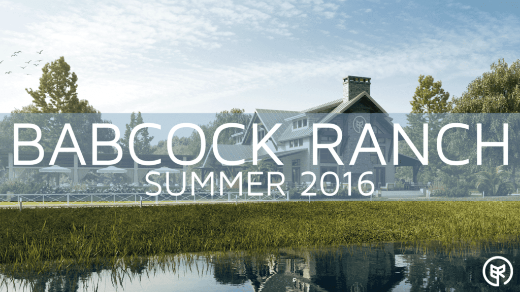 Progress, Updates, and Exciting News at Babcock