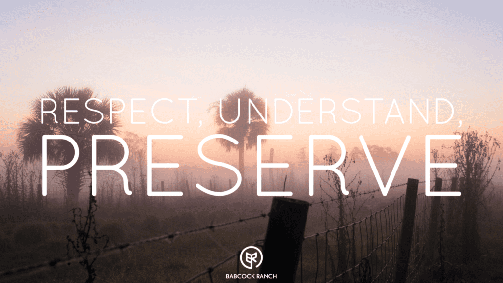 Creating a Sustainable Tomorrow at Babcock Ranch