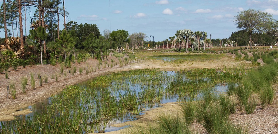 Babcock Ranch Land