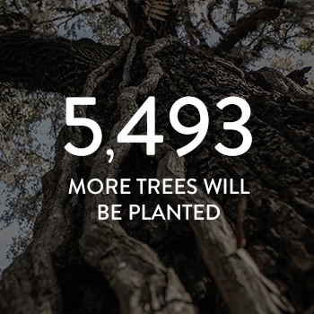 5,493 more trees will be planted