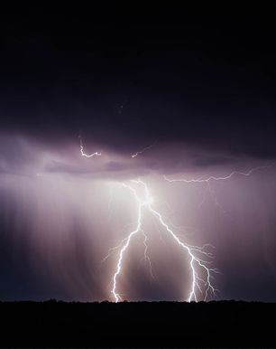 storm shutters