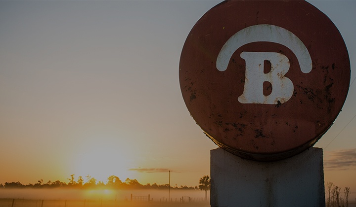 An Overview of the History of Babcock Ranch