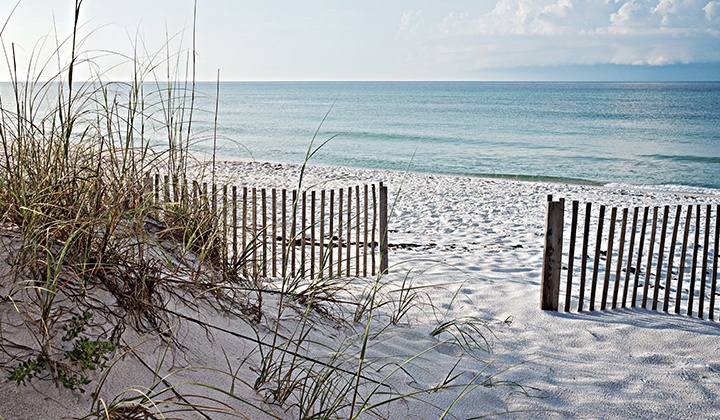 Considering Moving to Florida? Things to Know About Moving to Florida’s Gulf Coast