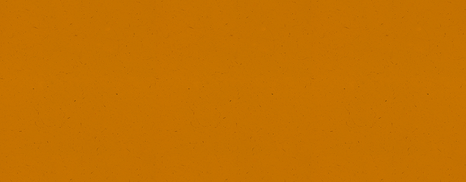 Pumpkin Patch